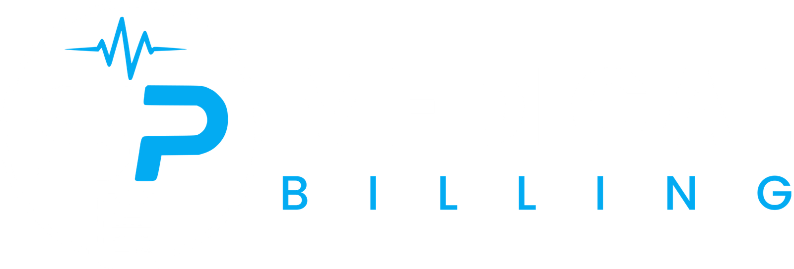SP medical billing log light theme